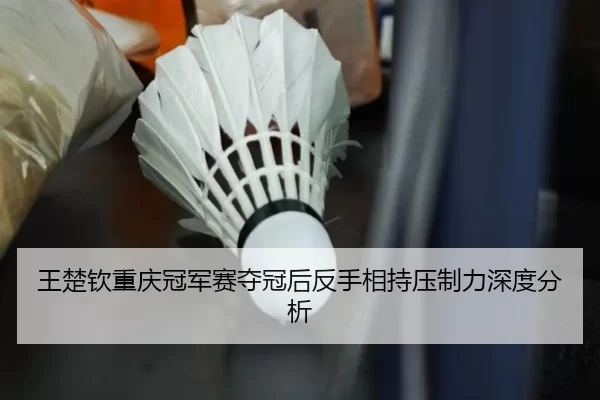 王楚钦重庆冠军赛夺冠后反手相持压制力深度分析